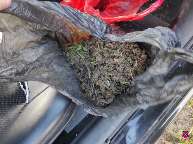 600 грамм марихуаны перевозил в своей машине житель Волгоградской области